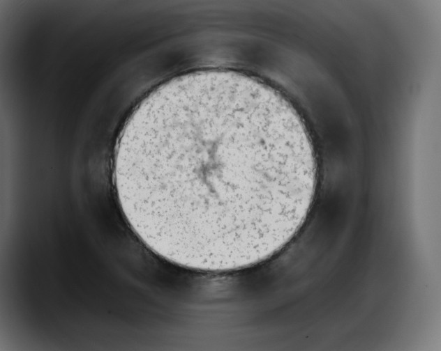 X0000087751314200705291025