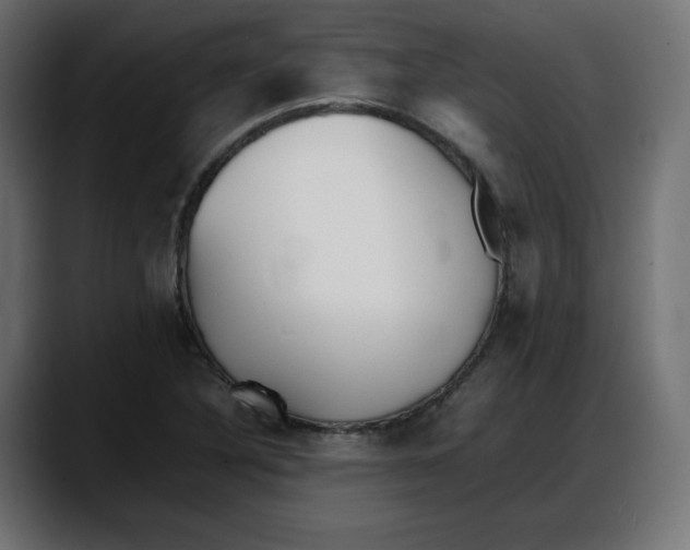 X0000087751316200705291025