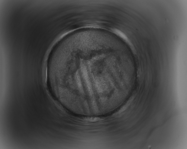 X0000087751323200705291025