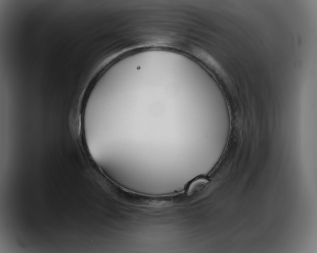 X0000087751324200705291025