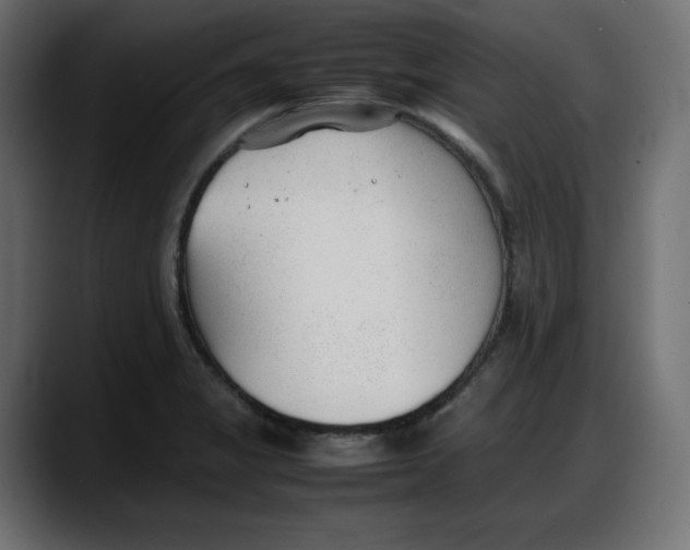 X0000087751325200705291025