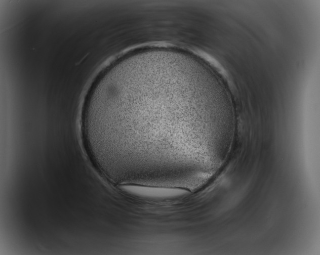 X0000087751327200705291025