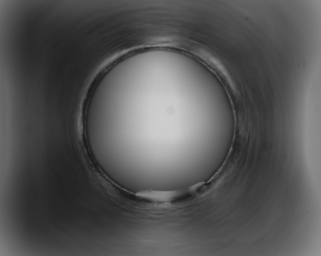 X0000087751328200705291025