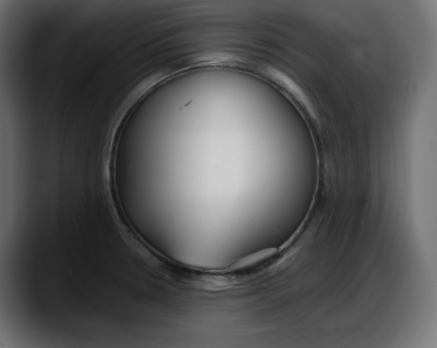 X0000087751330200705291025