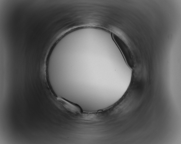 X0000087751332200705291025