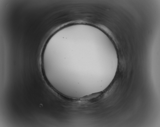 X0000087751335200705291025