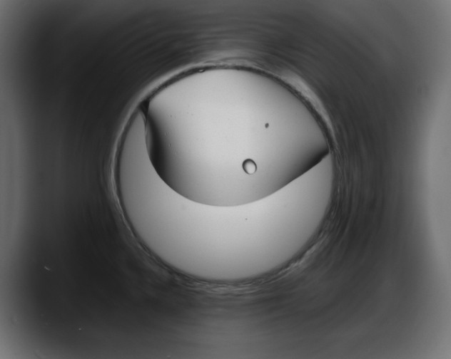 X0000087751336200705291025