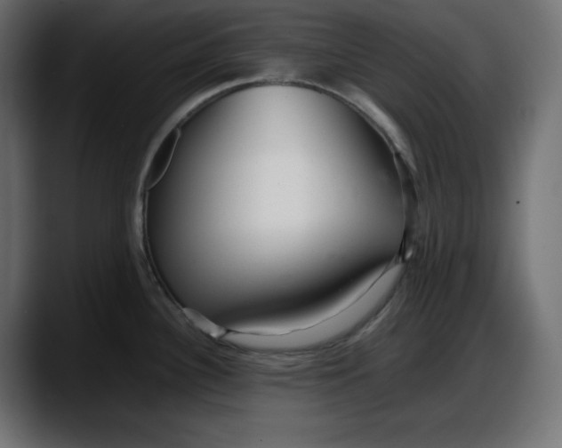 X0000087751340200705291026