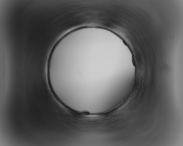 X0000087751343200705291026