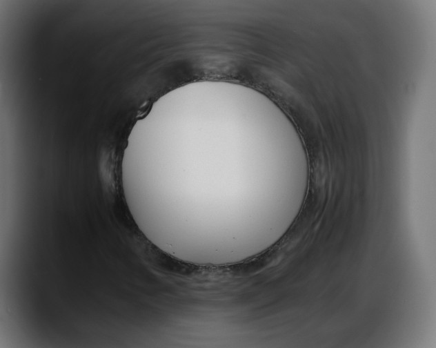 X0000087751346200705291025