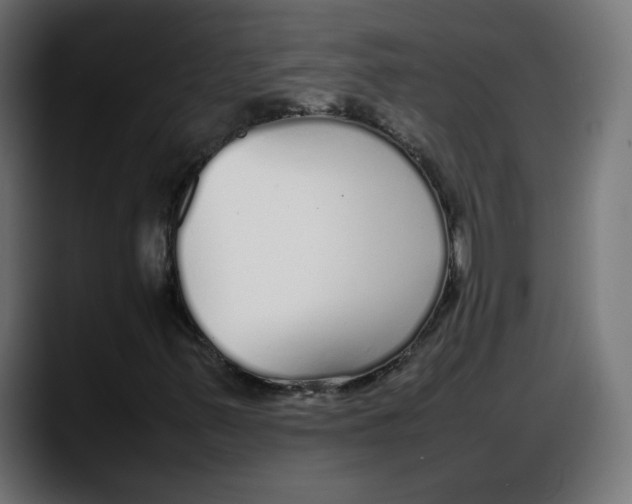 X0000087751347200705291025