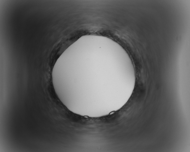 X0000087751349200705291025