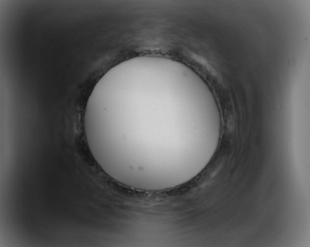 X0000087751350200705291025