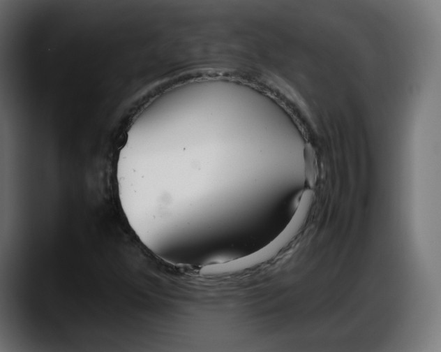 X0000087751352200705291025