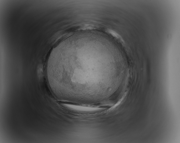 X0000087751353200705291025