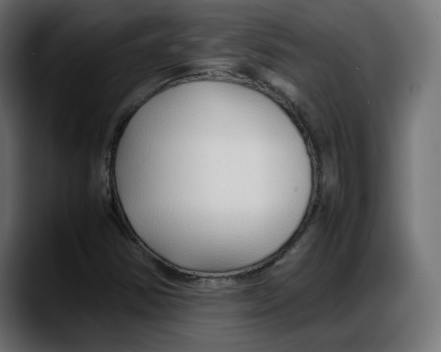 X0000087751354200705291025