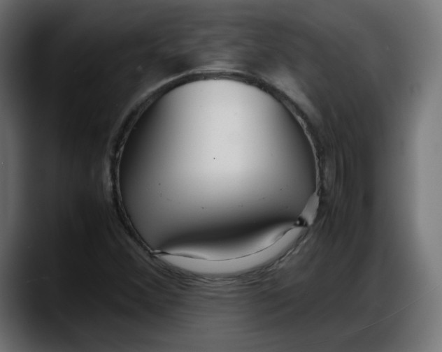 X0000087751356200705291025