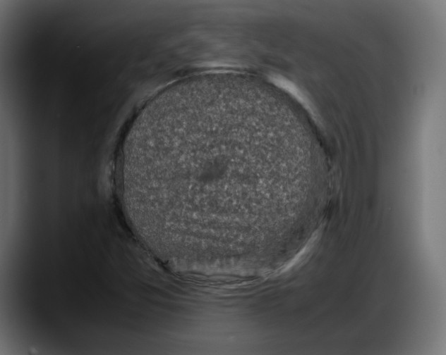 X0000087751357200705291025