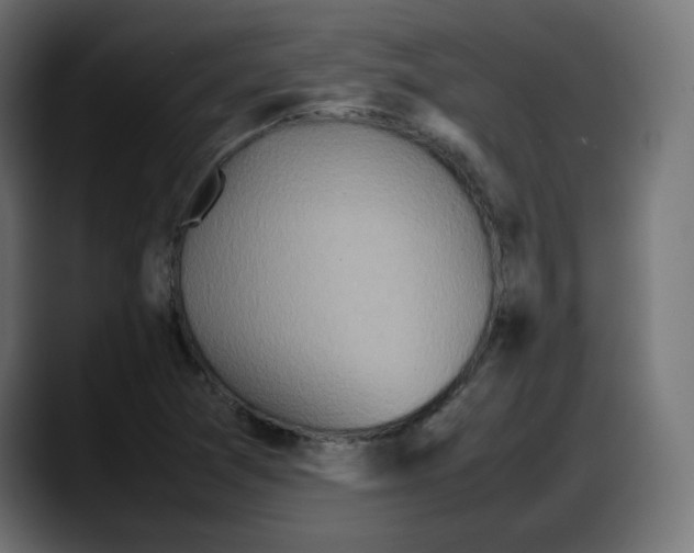 X0000087751361200705291025