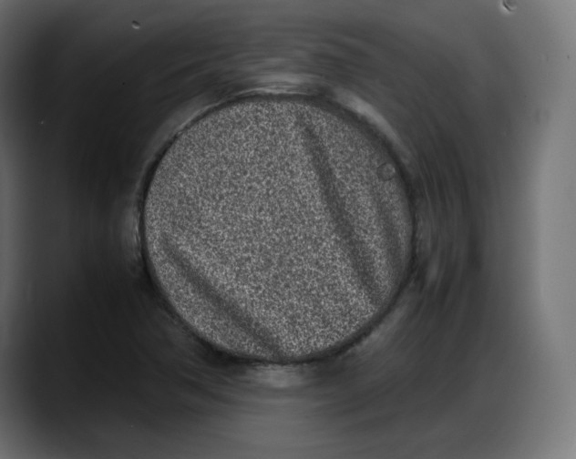 X0000087751362200705291025