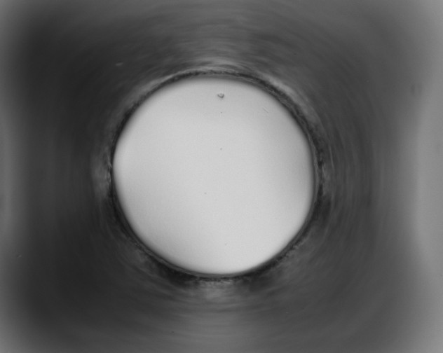 X0000087751363200705291025