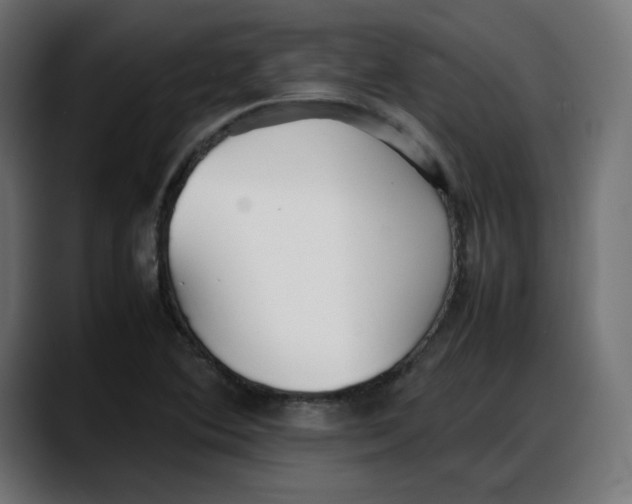 X0000087751364200705291025