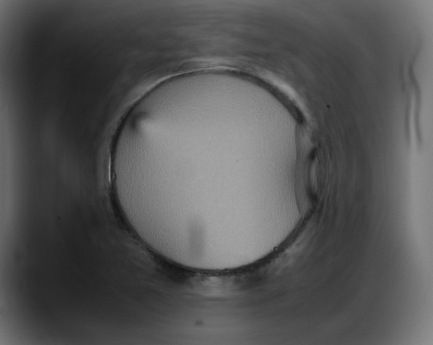 X0000087751365200705291025