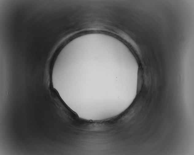 X0000087751368200705291025