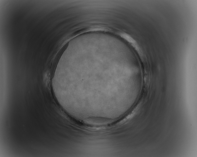 X0000087751369200705291025