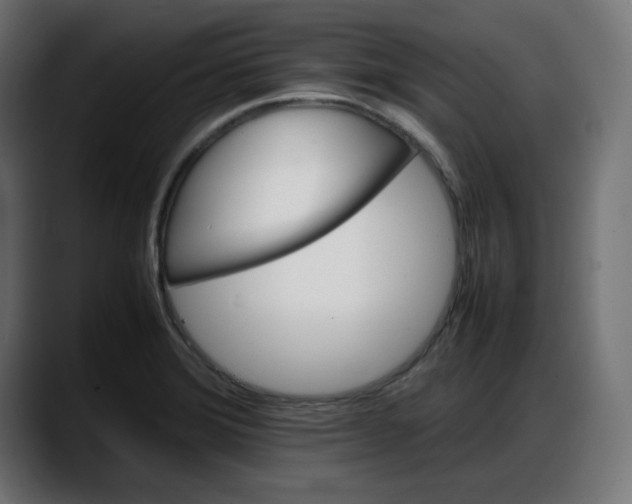 X0000087751372200705291025