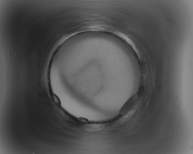 X0000087751373200705291025