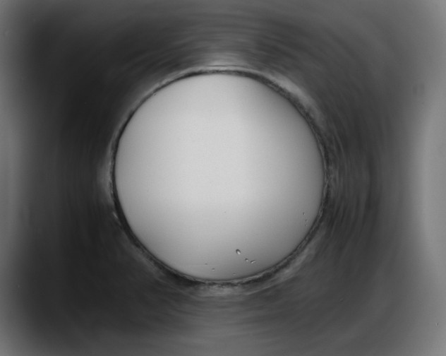 X0000087751374200705291025