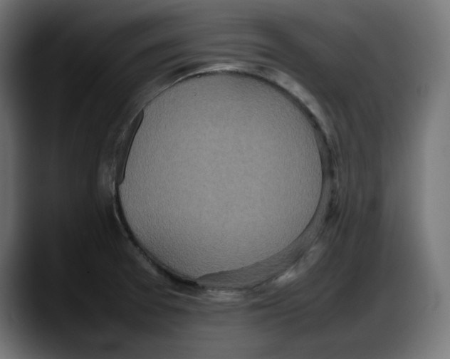 X0000087751377200705291025