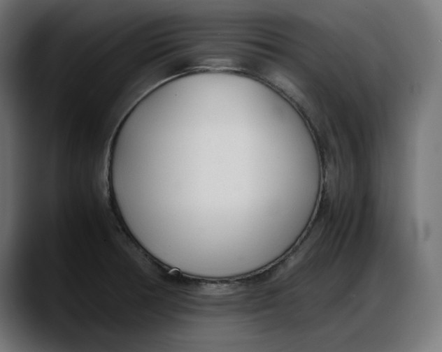 X0000087751378200705291025