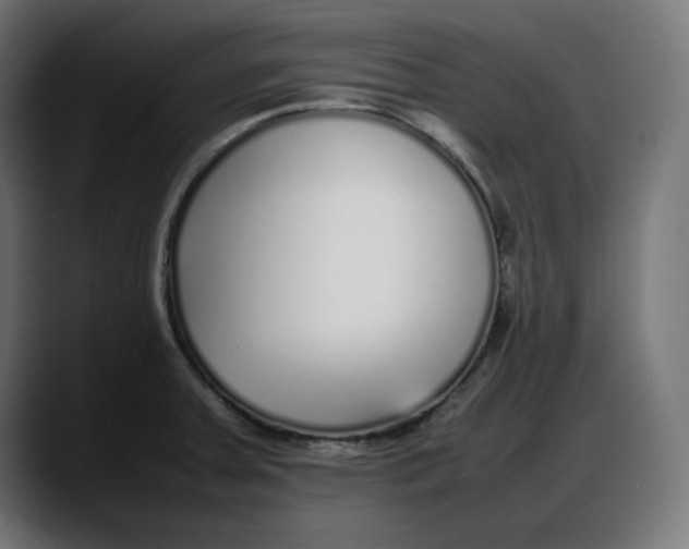 X0000087751379200705291025