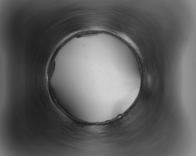 X0000087751380200705291024