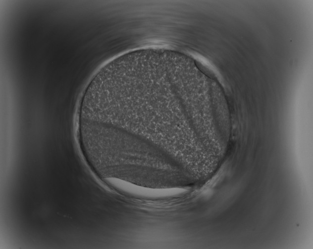 X0000087751383200705291024