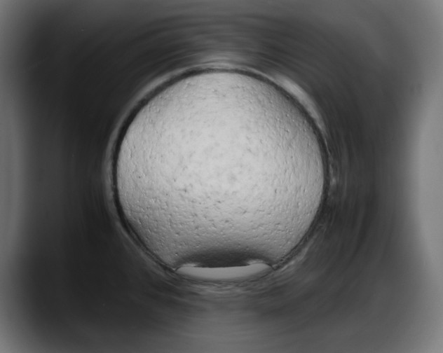 X0000087751384200705291024