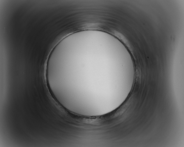 X0000087751386200705291024