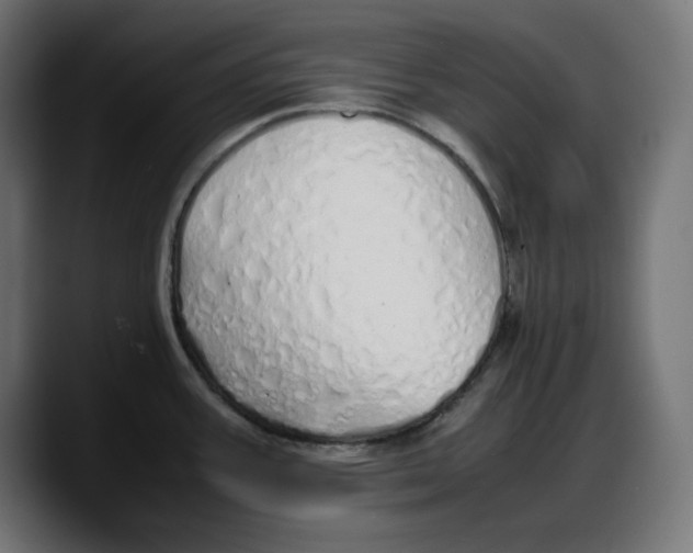 X0000087751387200705291024