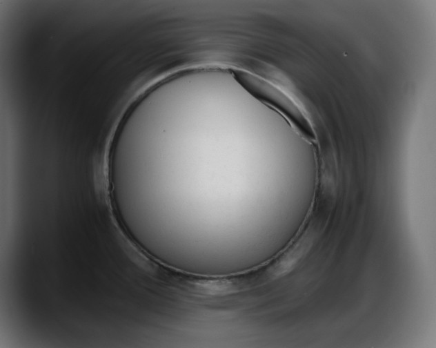 X0000087751388200705291024