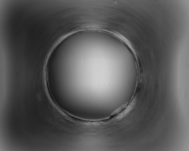 X0000087751389200705291024