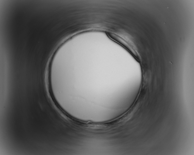 X0000087751391200705291024