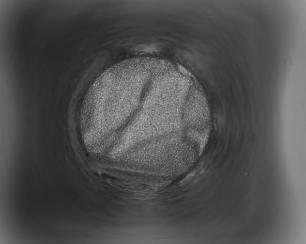 X0000087751393200705291024