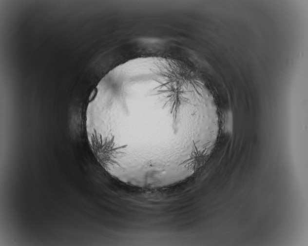 X0000087751395200705291024