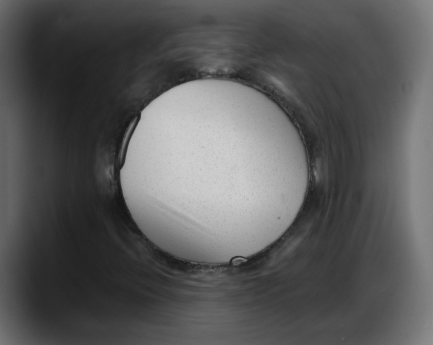 X0000087751396200705291024