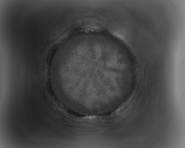 X0000087751399200705291024