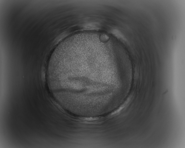 X0000087751401200705291024