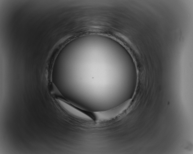 X0000087751402200705291024