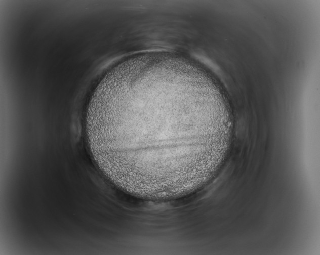 X0000087751407200705291024